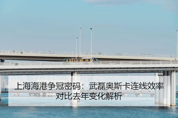 shang-hai-hai-gang-zheng-guan-mi-ma-wu-lei-ao-si-ka-lian-xian-xiao-lv-dui-bi-qu-nian-bian-hua-jie-xi-2-791.jpg