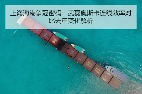 shang-hai-hai-gang-zheng-guan-mi-ma-wu-lei-ao-si-ka-lian-xian-xiao-lv-dui-bi-qu-nian-bian-hua-jie-xi-3-319.jpg