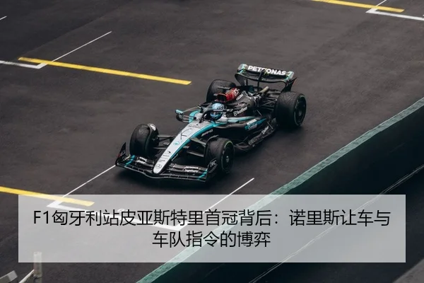 xiong-ya-li-zhan-pi-ya-si-te-li-shou-guan-bei-hou-nuo-li-si-rang-che-yu-che-dui-zhi-ling-de-bo-yi-3-119.jpg