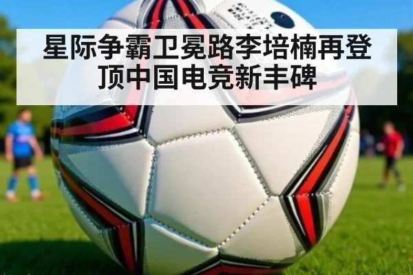 星际争霸卫冕路李培楠再登顶中国电竞新丰碑
