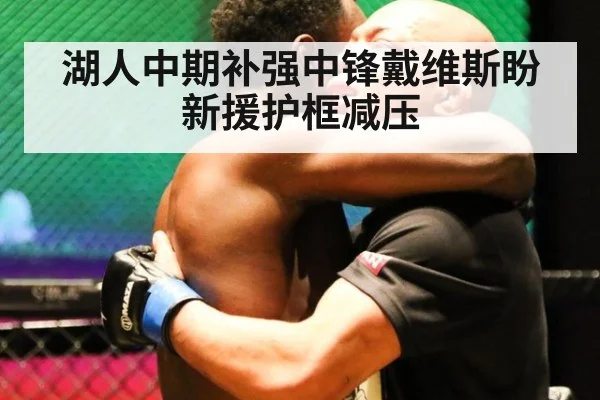 湖人中期补强中锋戴维斯盼新援护框减压